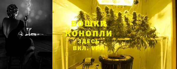 PSILOCYBIN Волосово