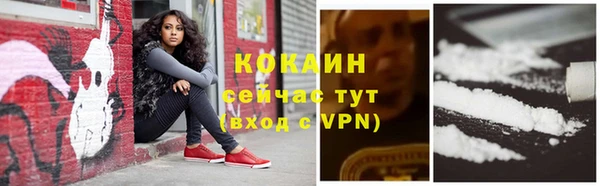 PSILOCYBIN Волосово