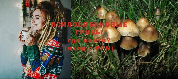 PSILOCYBIN Волосово