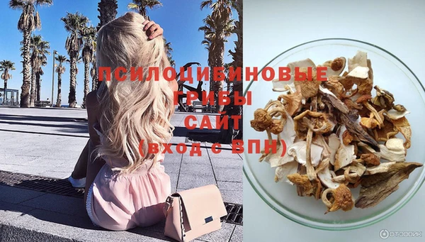 ПСИЛОЦИБИНОВЫЕ ГРИБЫ Володарск