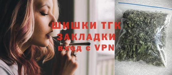 PSILOCYBIN Волосово