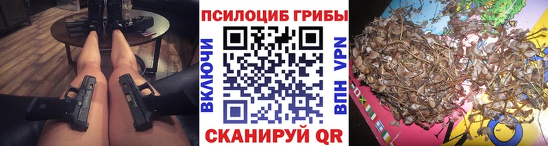 Купить  Гусь-Хрустальный  Галлюциногенные грибы ЛСД 